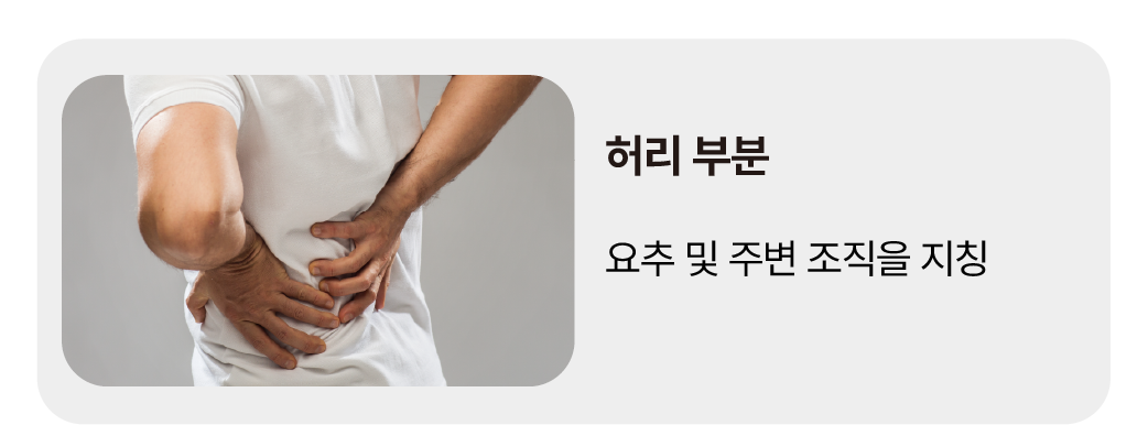 과로의 종류