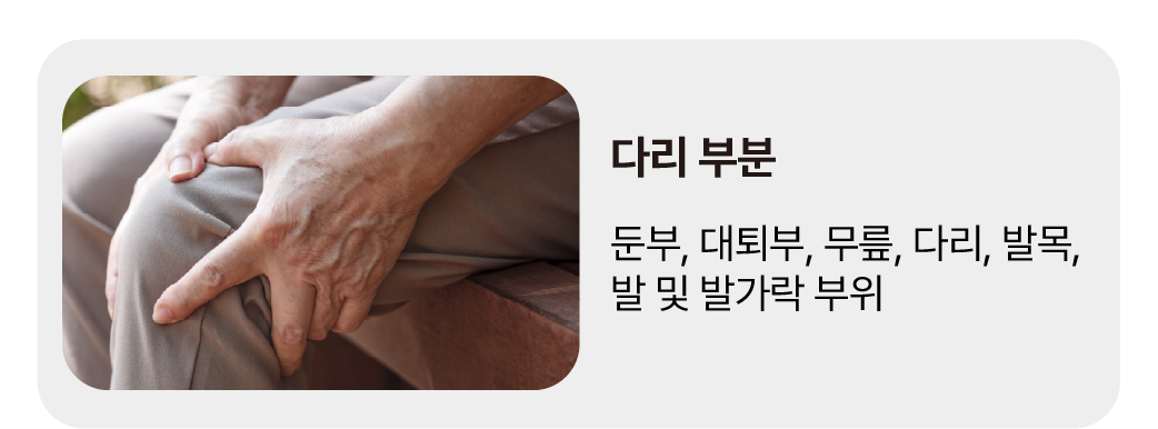 과로의 종류